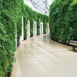 living plant walls installation and maintenance Dallas Fort-Worth