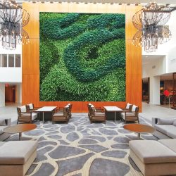 lobby living wall installation service Dallas Fort Worth TX