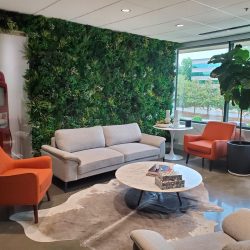 Green Living Wall Maintenance by Magnolia Plantscapes