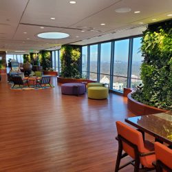 Green Living Wall Installations by Magnolia Plantscapes