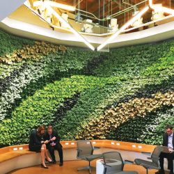 living greenery wall Dallas
