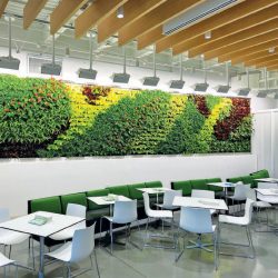 indoor garden wall Dallas Fort-Worth