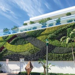 green wall installation Dallas