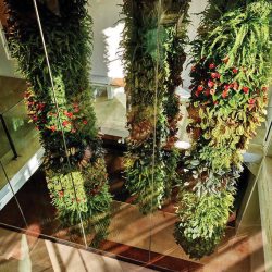 office plant installation Dallas