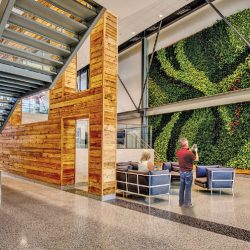 green wall focal point installation