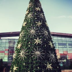 outdoor Christmas tree set up Dallas Fort Worth