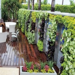 outdoor living plant wall company Dallas Fort Worth TX