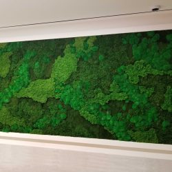living green wall art installation