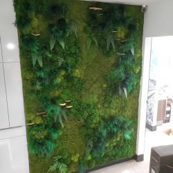 living plant wall installation services Dallas Fort-Worth