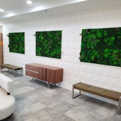 living plant wall installation company Dallas Fort-Worth