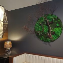 living indoor plant art Dallas Fort-Worth