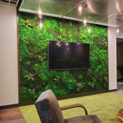 living plant statement wall Dallas Fort-Worth