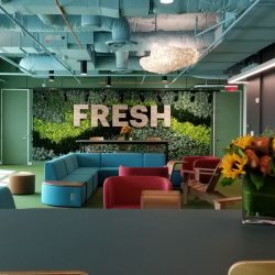 indoor living plant wall Dallas Fort-Worth TX