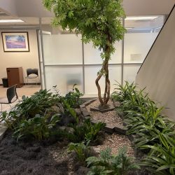 Biophilic indoor garden design
