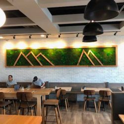 living green wall picture Dallas Fort-Worth