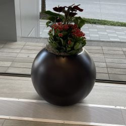 planter garden for offices in Dallas Fort Worth