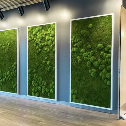 living moss wall framed Dallas Fort-Worth