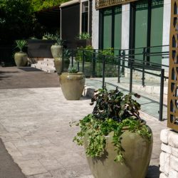 potted plant maintenance Dallas/Fort Worth TX