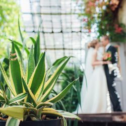wedding plant services Dallas Fort Worth