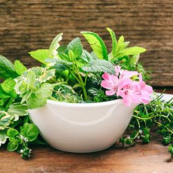 Dallas/Fort Worth TX Biophilic design company