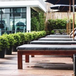 seasonal plant exterior services