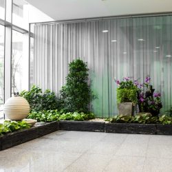 Commercial Building Plant Service by Magnolia Plantscapes