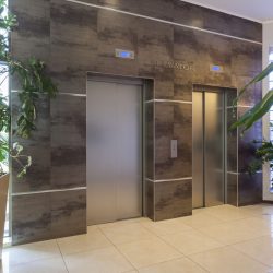 Commercial Building Plant Designs by Magnolia Plantscapes