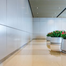 National Plant Services