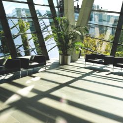 Hospitality Plant Services