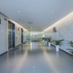 Hospitality Plant Services Dallas TX