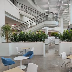 plant care company for retail stores Fort Worth TX