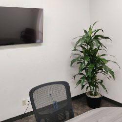 school plant care services