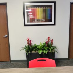 College plant care services Fort Worth TX