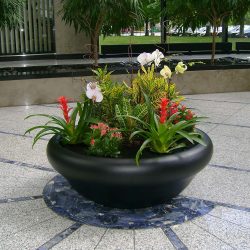 Campus plant care services