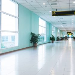 Plant Company Dallas & Fort Worth, TX