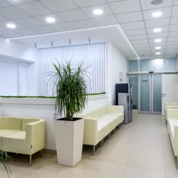 eco-friendly Plant Company Dallas & Fort Worth, TX