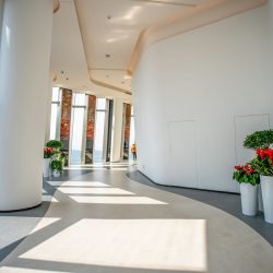 Plant & flower Company Dallas & Fort Worth TX