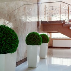 Interior Garden Dallas/Fort Worth TX area