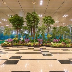 Interior Garden installation Dallas/Fort Worth TX