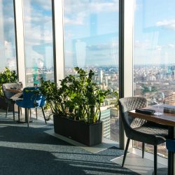 restaurant plant care Dallas/Fort Worth TX