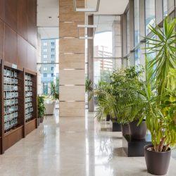 Dallas Fort Worth indoor plant services