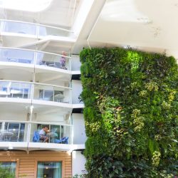 Green Wall Construction Dallas & Fort Worth TX