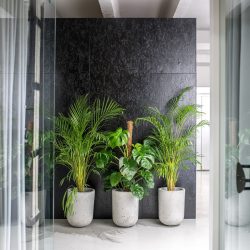 eco-friendly interiorscape designs