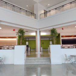 national Biophilic design company