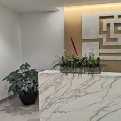 national eco-friendly interiorscape design company