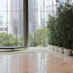 Biophilic design installation services
