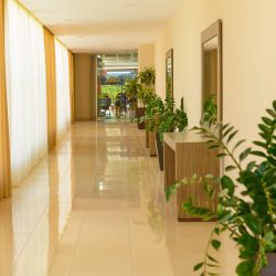 Biophilic design for hotels