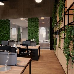 take care of green walls in Dallas and Fort Worth