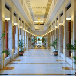 Hotel plant maintenance in Fort Worth & Dallas