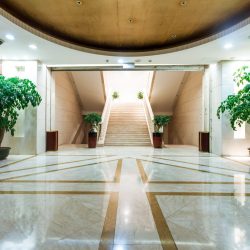 Interior Garden Design Dallas & Fort Worth